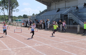 6ae0d1119296c_IMG2454.JPG