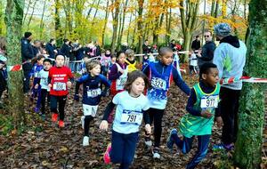 Cross des Ecoles d'Athlétisme
